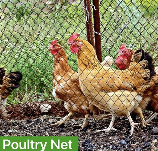 Poultry Netting 50x50 FT Fence for Chicken Coop and Garden Protection Predator Proof, Easy Install for Rabbits and Small Animals