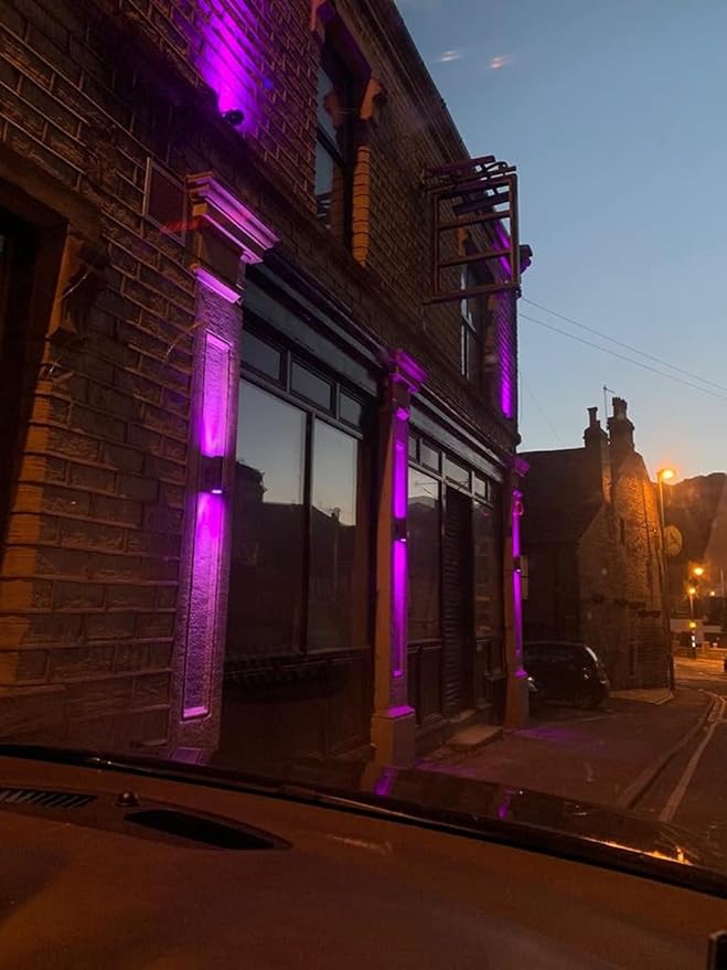 Exterior Double Up Down Outdoor Wall Lights, Mi.Light Remote Control RGB Color