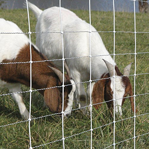 Premier 1 ElectroStop® 42"H x 164'L Portable Electric Fence with Built-in Single Spike Posts | White Fence for Sheep & Goats