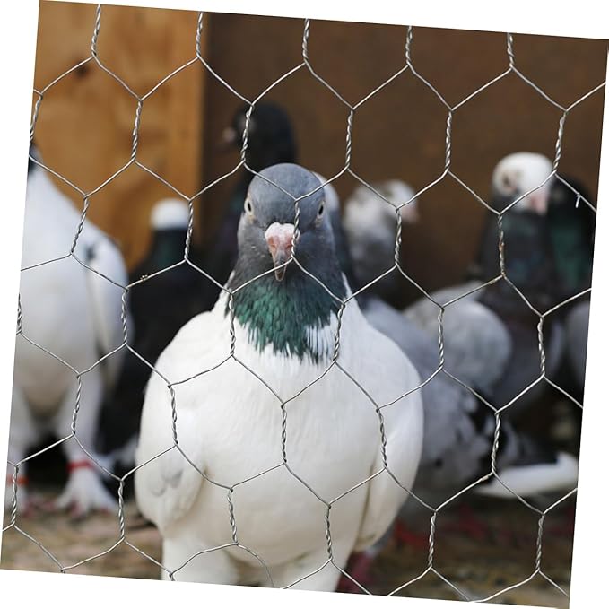UPKOCH 1 Roll X Galvanized Chicken Wire Fencing Heavy Duty Poultry Netting for Coop Garden Protection Resistant Mesh for Enclosure
