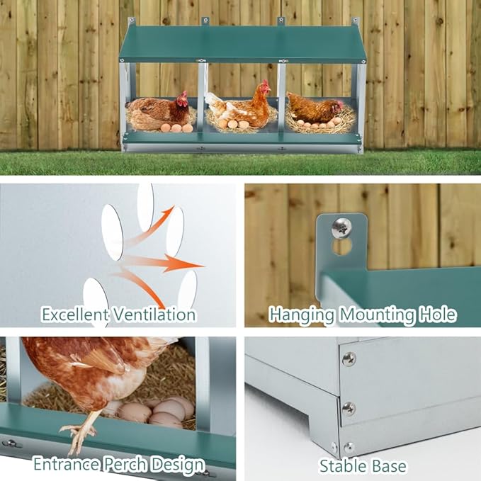 Green Chicken Nesting Box for Laying Eggs – Roll Away Poultry Nest, Durable & Easy-Clean Hen Egg Box for Coops, Secure & Comfortable (3-Hole,Green)