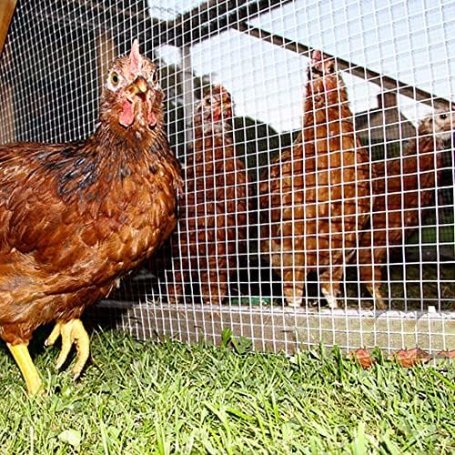 Durable Stainless Steel Welded Wire Mesh for Chicken Coops & Poultry Cages, 1 * 7.6m Garden Fence with Pliers - Perfect for Animal Enclosures & Outdoor Use
