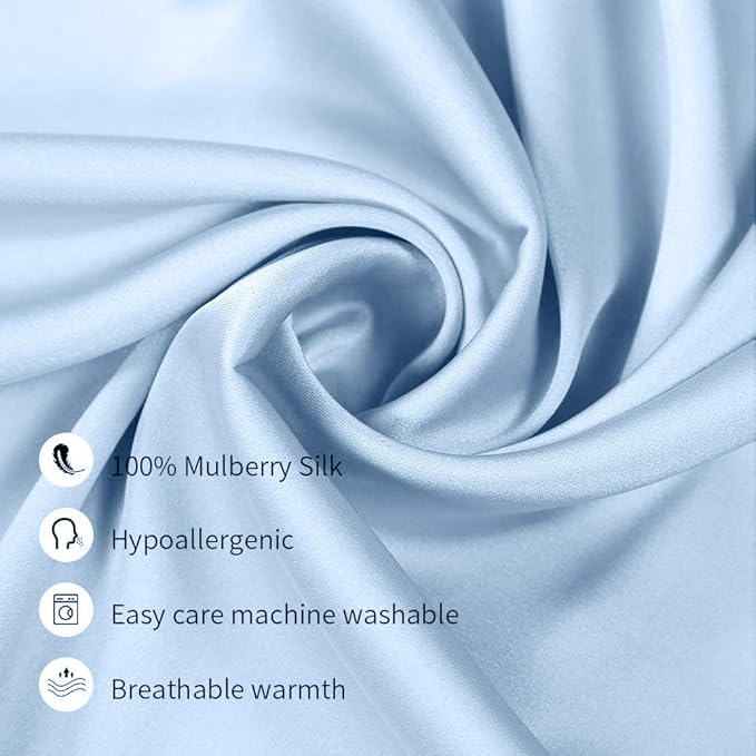 100% Mulberry Silk Pillowcases Set of 2 for Hair and Skin and Super Soft and Breathable Queen Size Nature Silk Pillowcases (Queen, Blue)