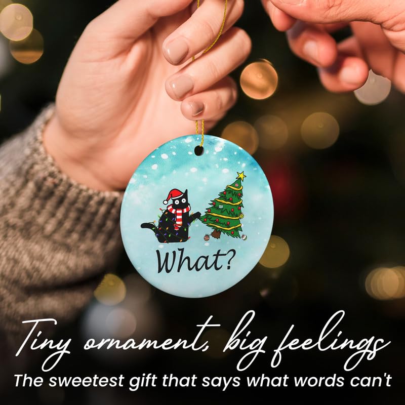 Christmas Funny Black Cat Gifts for Women Men