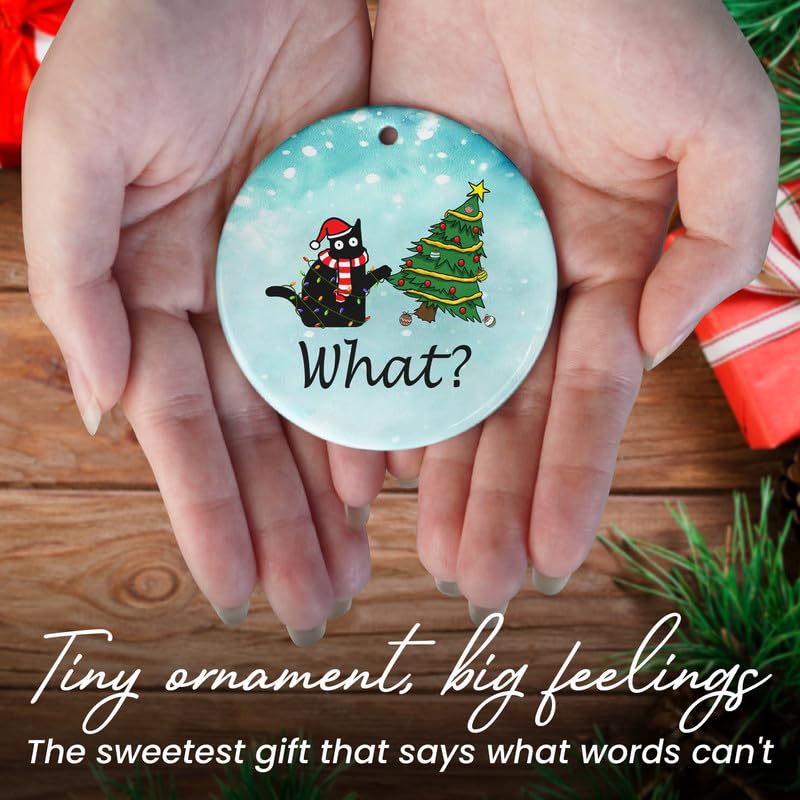 Christmas Funny Black Cat Gifts for Women Men