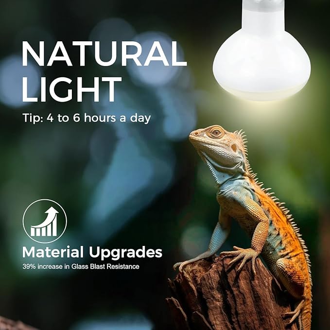 Reptile Heat Lamp 100W, 2 Pack Intense UVA Basking Light Bulbs, Flat-Base Heat Emitter, Heat Lamp Bulb for Reptile Chick