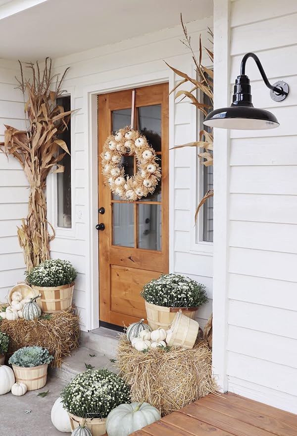Steel Lighting Co. Topanga Barn Light | Outdoor Wall Mounted | Farmhouse Garage