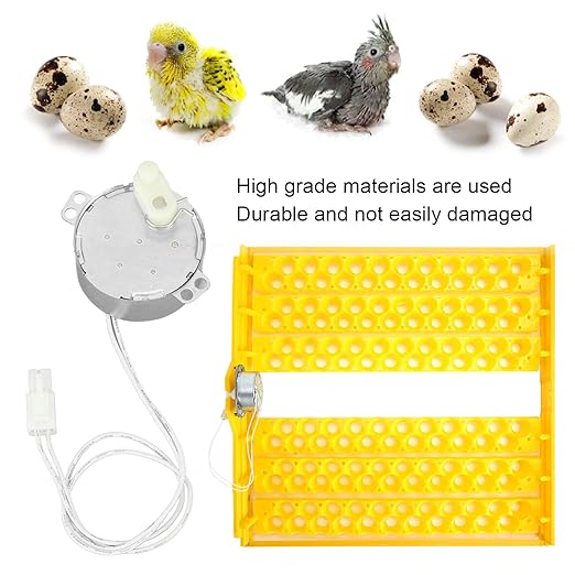 Egg Tray Turning Motor Automatic Egg Turning Tray Tool Portable Synchronous Turntable Motor for Incubating Chicken Duck and Quail Egg (100-120v)