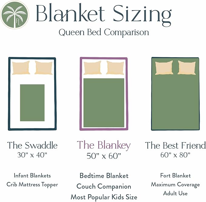 Personalized Dinosaur Blanket for Kids, Ships Next Day - Dino Throw Blanket for Boys and Girls, Toddler Bed, Room & Bedroom Decor - Educational Blankets for Children - USA Based (60x80, Fleece)