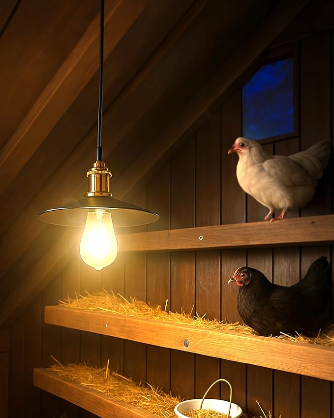 Solar Pendant Light Indoor Outdoor, 1000LM Solar Shed Light IP65 Waterproof
