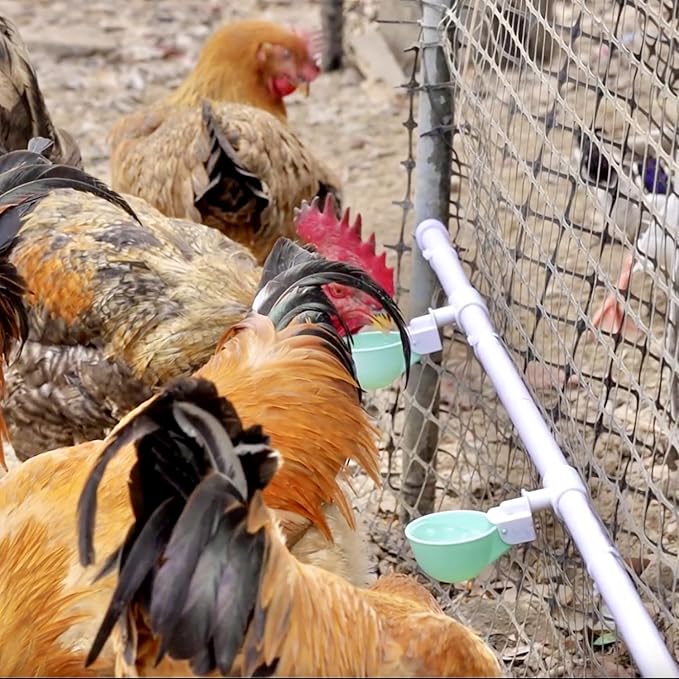 4PC Chicken Water Cups with PVC Tee Fittings for 1/2" Pipe, Automatic Chicken Watering System, Anti-Leak, Holds 50% More Water, Suitable for Chicks, Chicken, Duck, Quail, Birds, Turkey