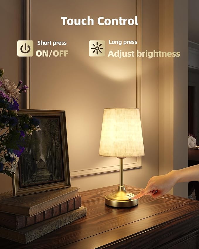 Cordless Table Lamp, Ambient Light, Touch Control, Rechargeable, Desk Lamp
