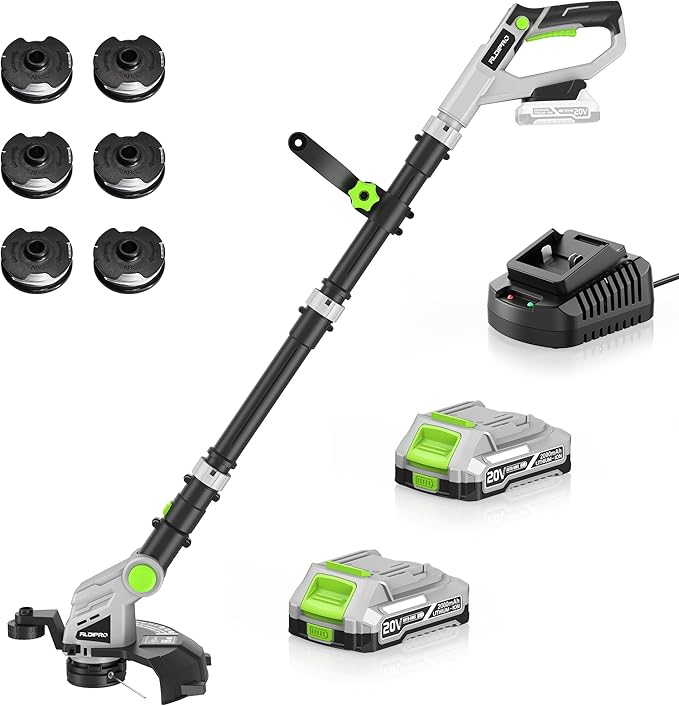 Weed Wacker Cordless 20V 12'' Electric Weed Eater with Auto Line Feed, 2 x 2.0Ah Battery and Fast Charger, 6 x Replacement Line, Battery Powered String Trimmer for Lawn Care, GrassTrimmer (AD-ST-002)