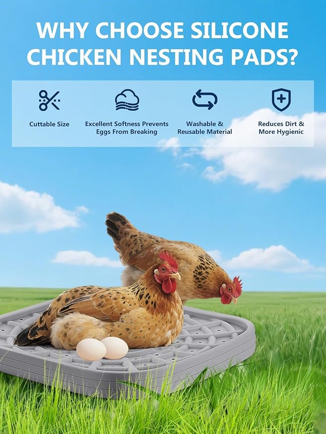 Kalolary 3 PCS Silicone Chicken Nesting Box Pads, 12"x 12" Nesting Pads for Chicken Coop Washable Nesting Box Liners for Chicken Laying Boxes Soft, Easy Clean, Gray