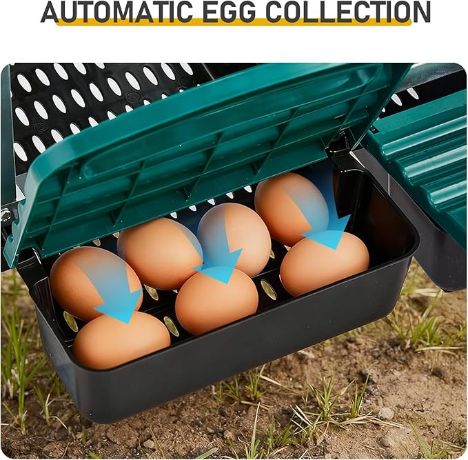 6 Compartment Chicken Nesting Box with Roll Away Egg Design - Wall Mount Hen Laying Box with Pull-Out Trays for Easy Egg Collection, Cleanable & Chicken Coop Accessories, 6 Holes, Green