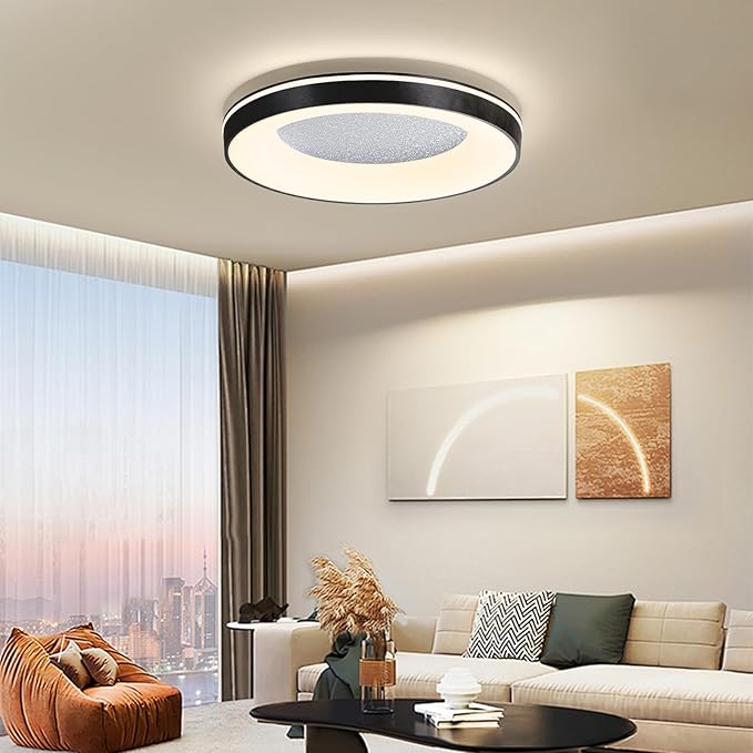LED Flush Ceiling Light, 19in Black Round Ceiling Light Dimmable
