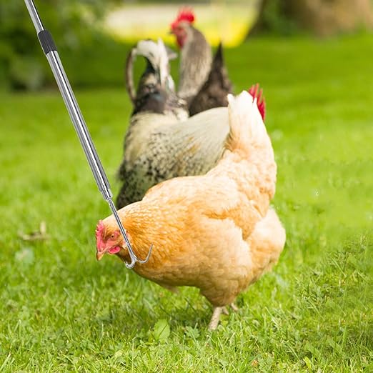 Adjustable Chicken Catching Net and Stainless Steel Hook Set for Poultry Farmers – Outdoor Farm Animal Catch Pole with Thickened Net, Suitable for Chickens, Ducks, and Turkeys