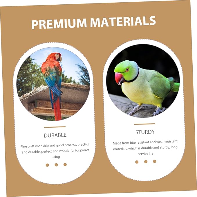 VANZACK Rutin Automatic Poultry Food Feeder Transparent Multi Use Chicken Feeding Box for Parrots and Birds Easy Installation for Home and Professional Use