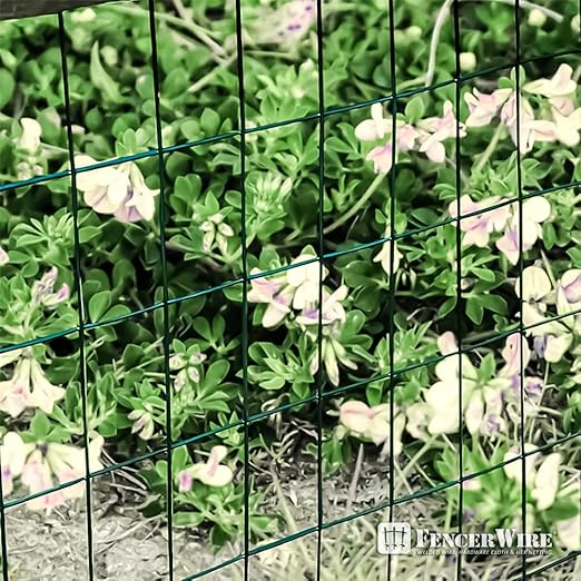 Fencer Wire 16 Gauge Green Vinyl Coated Welded Wire Mesh Size 2 inch X 3 inch, Green, 6 ft x50 feet