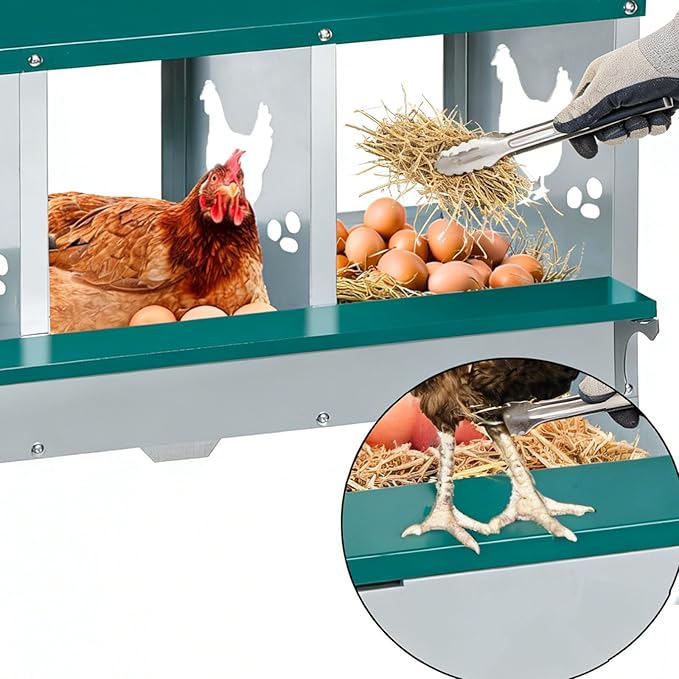 Chicken Nesting Box 8 Compartment with 10 Pet Moisture Pads and 4 Fake Eggs Roll Away Egg Collection, Perch, Lid Cover for Egg Protection - Wall Mount Nest Box for Chickens, Hens, Ducks