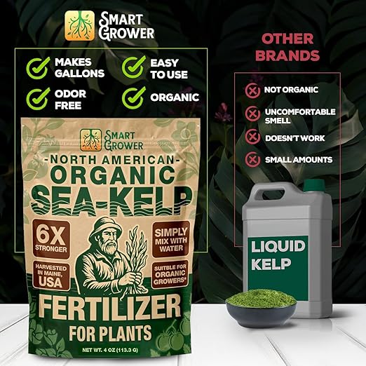 Organic Sea Kelp Fertilizer for Plants – Water-Soluble – Makes 100 Gallons – Kelp Meal Concentrate Plant Food – for Indoor Gardens, Hydroponics, Vegetables, Houseplants - Smart Grower - 4oz Bag