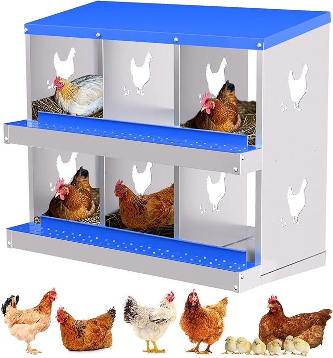 6-Hole Galvanized Chicken Nesting Box, Roll Away Egg Collection, Rustproof Hen Laying Boxes with Legs, Ventilated & Easy Install, Premium Poultry Nest for Chicken Coop/Duck House + Fake Training Eggs