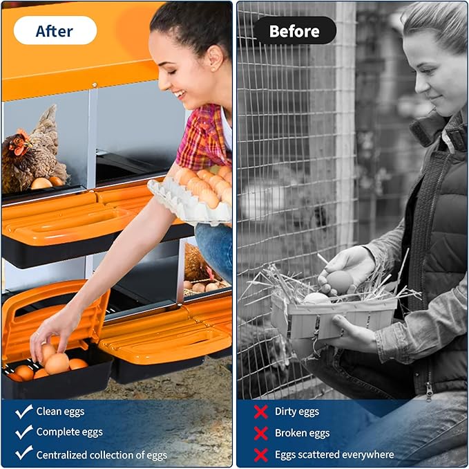 8-Hole Chicken Nesting Box, Roll Away Nest with Removable Tray, Rustproof Galvanized Steel, Easy Egg Collection & Cleaning, Wall-Mount Design - Orange
