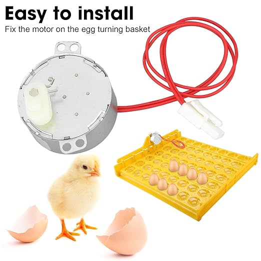 FLEXMAN Egg Tray Turning Motor, 4W Egg Turner Rotator Incubator Motor, Portable Professional Electric Synchronous Motor with Connector for Incubator (12V AC)