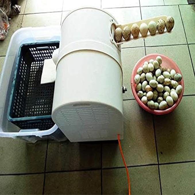 NYMFEA Automatic Egg Cleaning Machine, 120W, Commercial Chicken Duck Goose Egg Brushing Machine, ABS Body, Nylon Brush, 220V