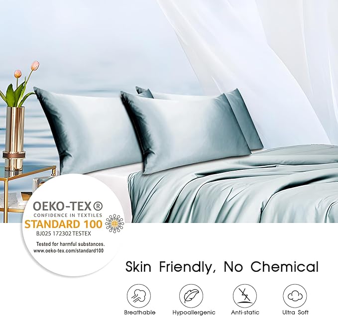 100% Mulberry Silk Pillowcase with Hidden Zipper,Both Sides Pure Silk Breathable Pillow Case for Hair and Skin,19 Momme Grade 6A,1pc,Pale Blue,Queen Size 20x30 Inches