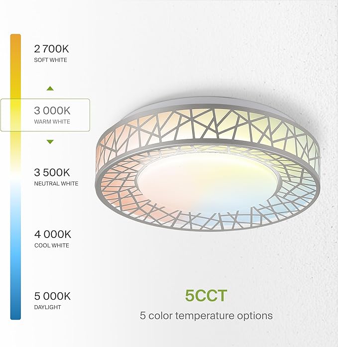 ASD 12 Inch LED Flush Mount Ceiling Light Fixture