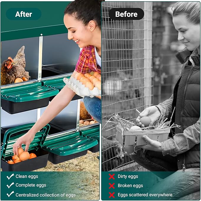 6 Hole Roll Away Chicken Nesting Box - Egg Collection System w/Anti-Peck Tray, Wall Mount or Freestanding, Galvanized Steel & Plastic for Easy Cleaning