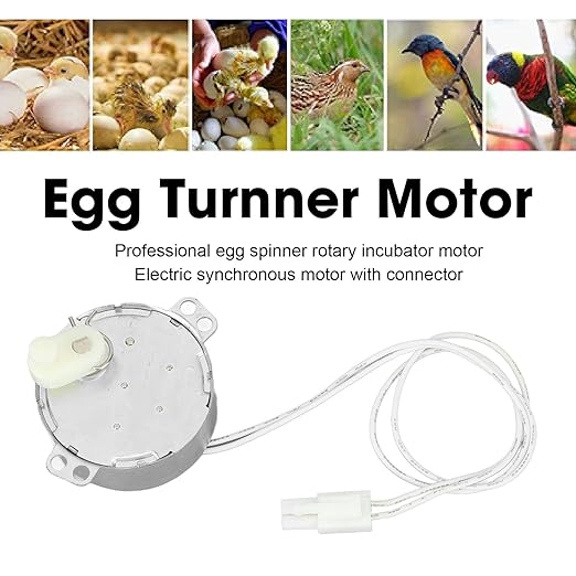 Egg Tray Turning Motor Automatic Egg Turning Tray Tool Portable Synchronous Turntable Motor for Incubating Chicken Duck and Quail Egg (100-120v)