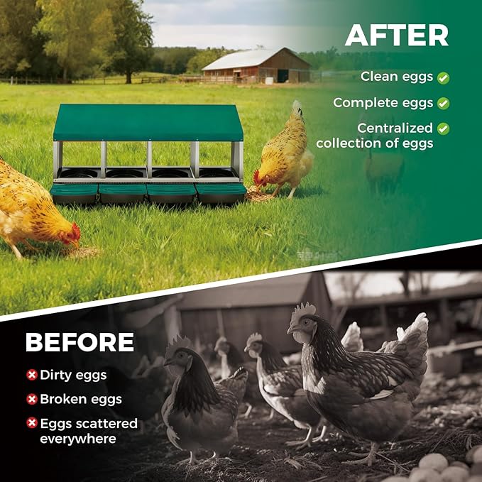 4-Hole Chicken Nesting Box, Roll Away Nest with Removable Tray, Easy Egg Collection & Cleaning, Wall-Mount Nesting Boxes for Hens, Chicken Coop - Green