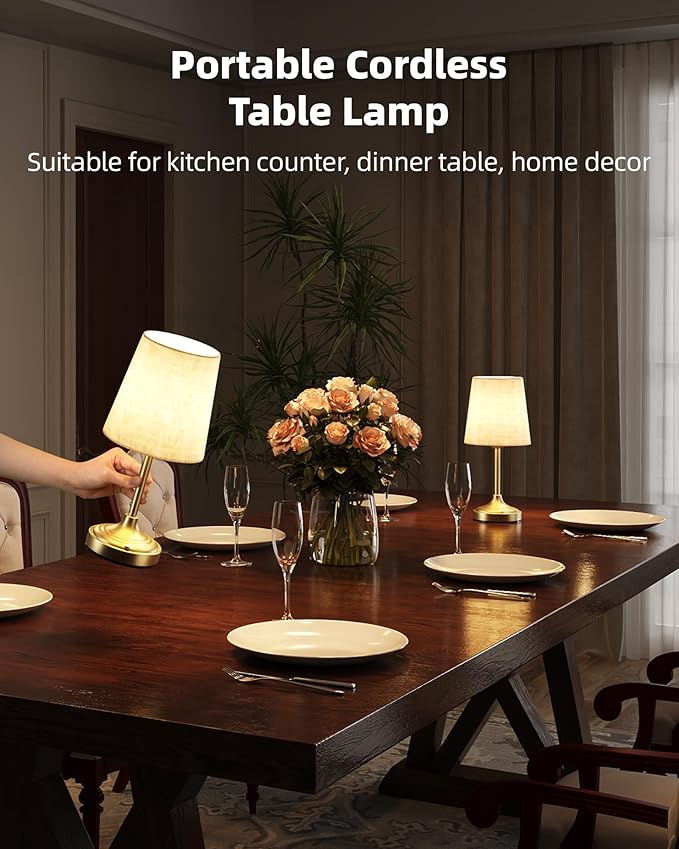 Cordless Table Lamp, Ambient Light, Touch Control, Rechargeable, Desk Lamp