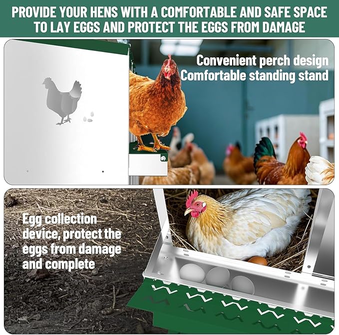 Heavy-Duty 6-Compartment Chicken Nesting Boxes with Roll Away Feature - Easy Clean Pull-Out Trays, Built-in Perch | Wall Mount/Free Standing Hen Laying Nests - Premium Poultry Egg Collection Solution