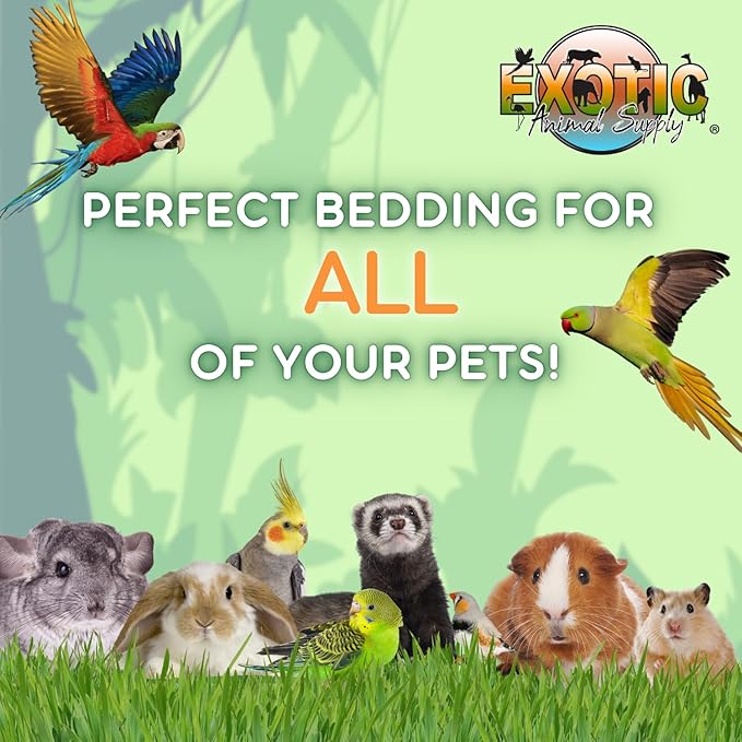 Natural Corn Cob Bedding, Corn Cob Litter, Dust-Free, Birds and Small Animals ~5lbs (340 CU in)