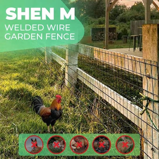 (36 in x 33 ft) Garden PVC Welded Wire Fence, Mesh Size 2 in x 3 in, 16-Gauge Welded Wire Fence, Poultry Protection Animal Fence, Includes Gloves and Pliers