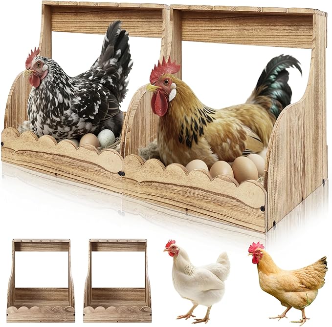 2-Pack Chicken Nesting Box, 2 Compartment Hen & Egg Laying Boxes, Easy Assembly Poultry Coop Accessories for Chickens Large