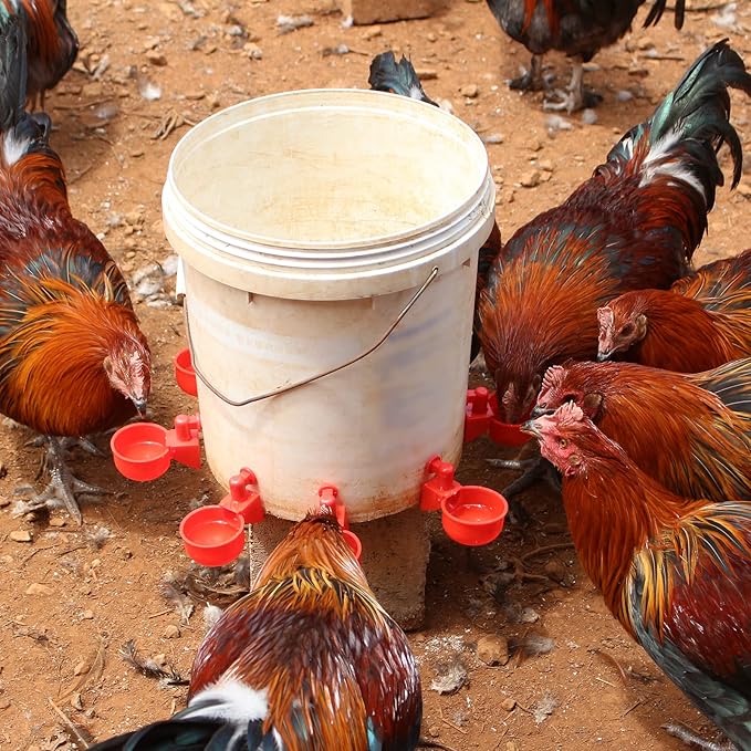 Chicken Water Cups, 6pcs Automatic Chicken Water Feeder, Poultry Waterer Kit Suitable for Chicks, Duck, Goose, Turkey and Bunny, 6-Pack