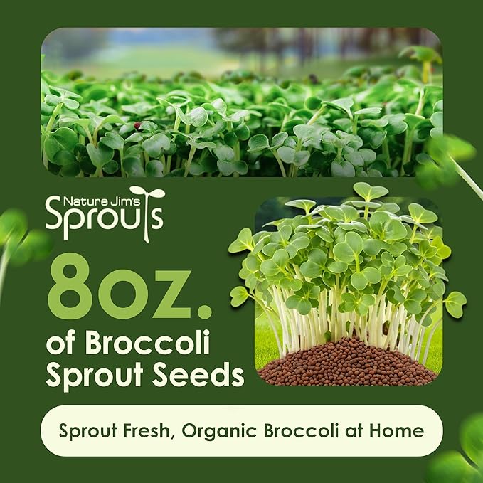 Nature Jims Sprouts Organic Broccoli Seeds for Sprouting – Certified Non-GMO, Rich in Sulforaphane, Swift-Growing Microgreen Seeds for Nutritious Broccoli Sprouts – Ideal for Indoor/Outdoor Use – 8oz
