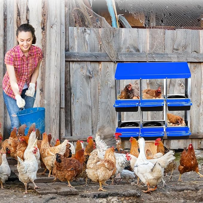 Chicken Nesting Box, 6 Hole 2 Layer Hen Nest Boxes with Legs, Roll-Away Egg Collection System with Ventilation Holes，Rustproof Plastic Tray & Keyhole Mounting, Chicken Laying Box