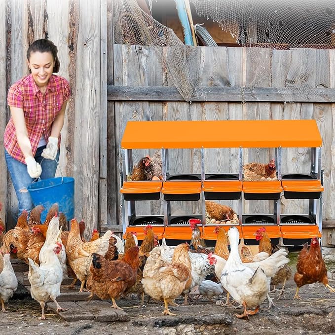 Chicken Nesting Box, 10 Hole 2 Layer Hen Nest Boxes with Legs, Roll-Away Egg Collection System with Ventilation Holes，Rustproof Plastic Tray & Keyhole Mounting, Chicken Laying Box
