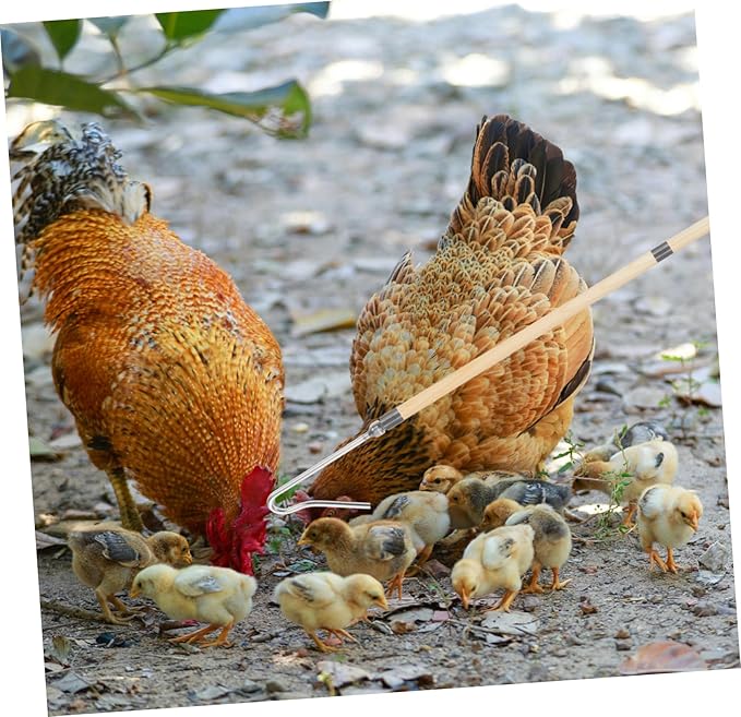 Happyyami Chicken Catching Net Chicken Catcher Hook Catcher Sturdy Animal-Friendly for Farms