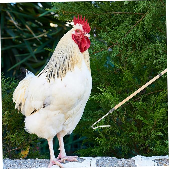 Heavy Duty Chicken Picker Hook Pole Durable Poultry Catching Tool for Efficient Handling of Chickens Ducks and Geese Farms Versatile Design for Easy Use Chicken