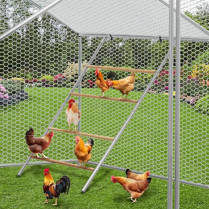 Upgraded 55" Multi-Tiered Chicken Roost: Galvanized Steel Frame with Wooden Perch Rungs & Ladder - an All-in-One Roosting Bar, Swing, and Habitat Enrichment for Healthy, Happy Hens