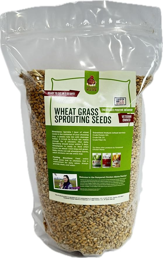 Non-GMO Fodder Seeds for Chickens (3 pounds), Pasture Grass Seed, Wheat Grass Seeds for Growing, Wheat Seeds for Fodder | Pampered Chicken Mama