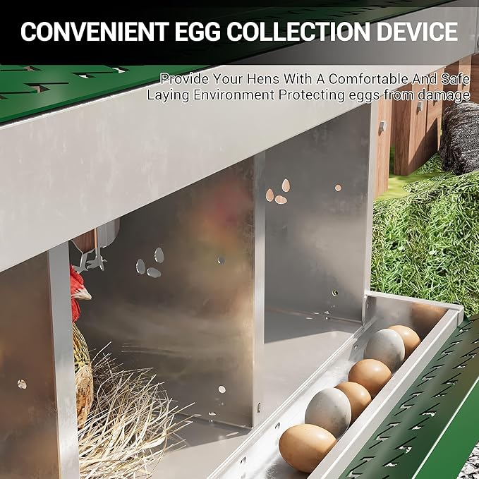 Heavy-Duty 8-Compartment Chicken Nesting Boxes with Roll Away Feature - Easy Clean Pull-Out Trays, Built-in Perch | Wall Mount/Free Standing Hen Laying Nests - Premium Poultry Egg Collection Solution