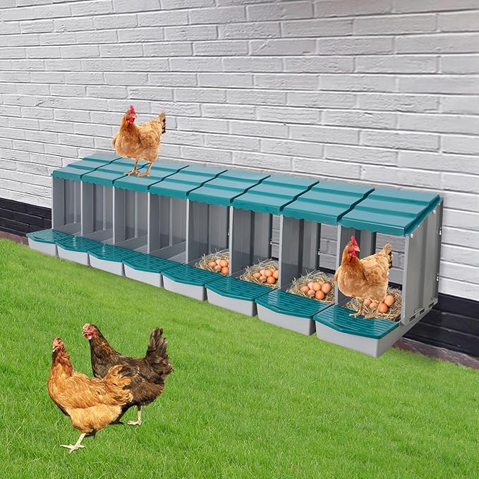 Chicken Nesting Box, 8 Compartments PP Nesting Box, Wall Mountable Nesting Boxes with Inclined Top, Drain Holes & Resting Platform for Chicken and Poultry to Collect Eggs