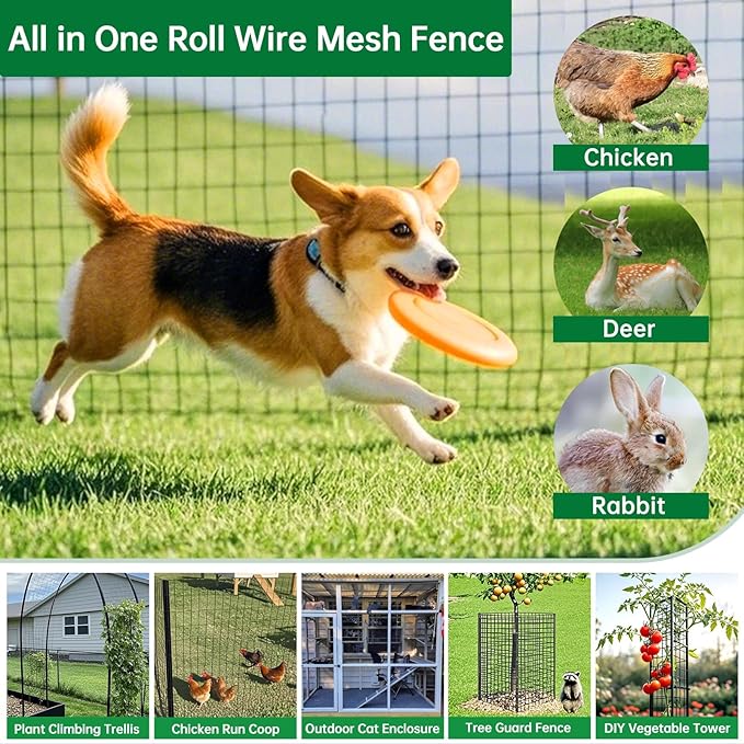 AMAGABELI GARDEN & HOME Black PVC Coated Welded Wire Fence 2inchx3inch 24inchx25ft 16Gauge Garden Border Fencing Roll Vinyl Coating Metal Wire Mesh Garden Bed Plant Supports Poultry Netting Cage